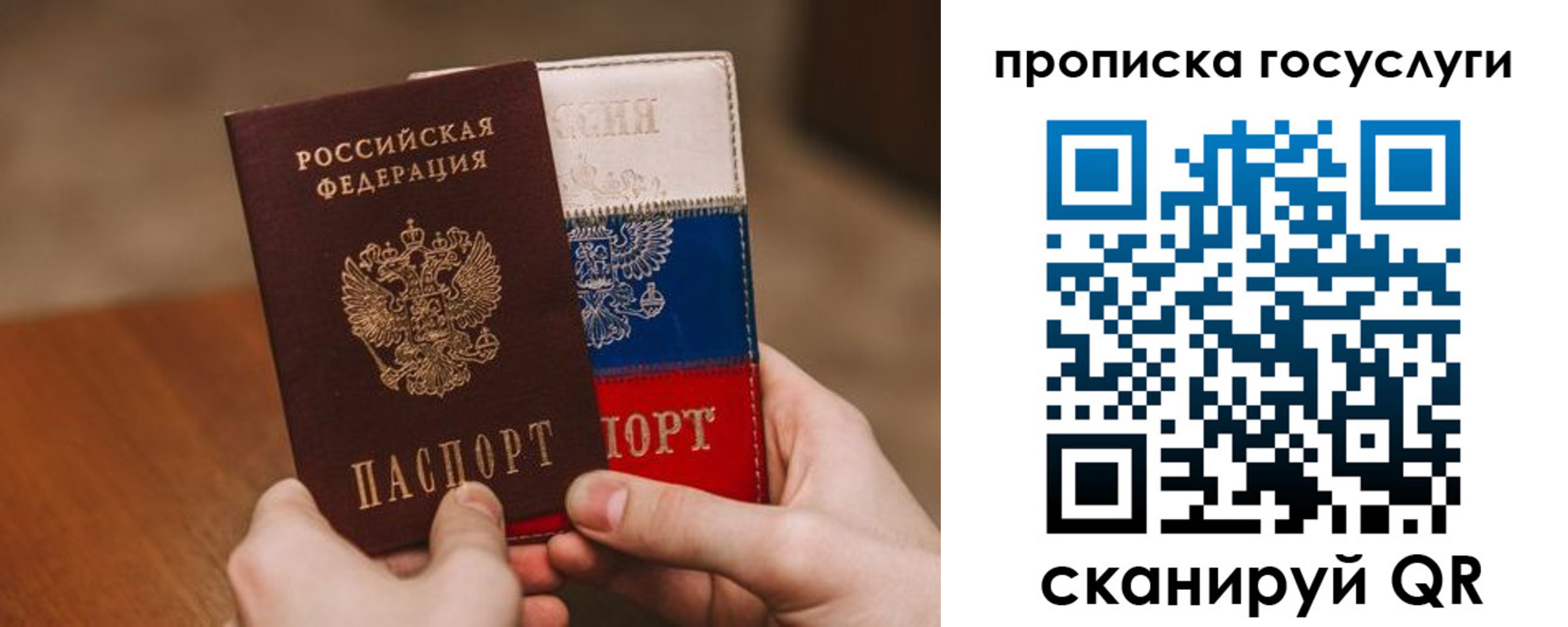 прописка штамп в Гвардейске